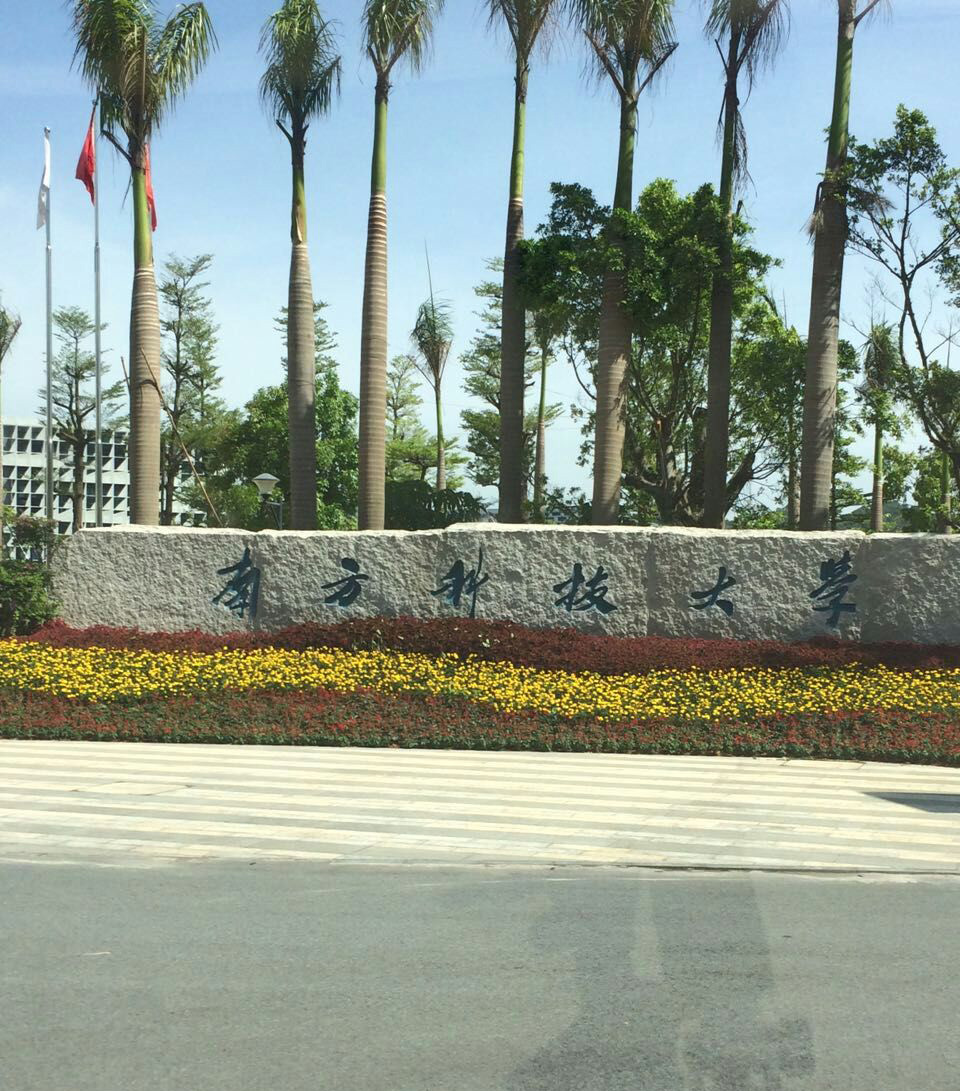 深圳南方科技大学 深圳南方科技大学